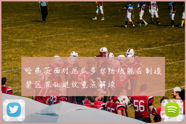 哈弗茨面对厄瓜多尔防线能否制造禁区混乱进攻重点解读