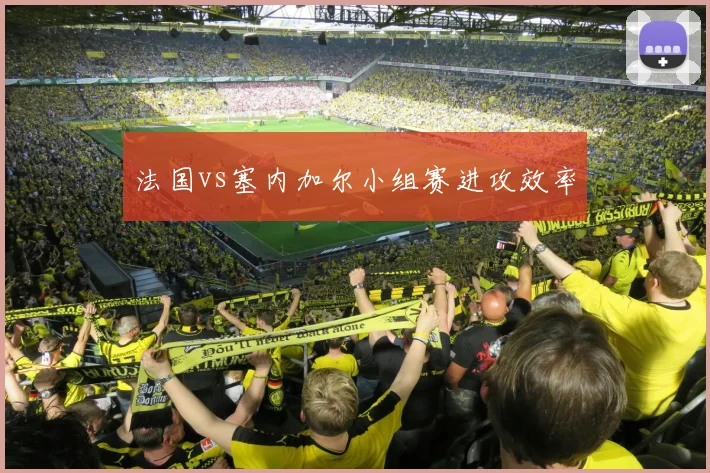法国vs塞内加尔小组赛进攻效率