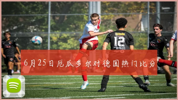 6月25日厄瓜多尔对德国热门比分