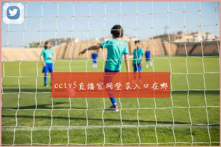 cctv5直播官网登录入口在哪