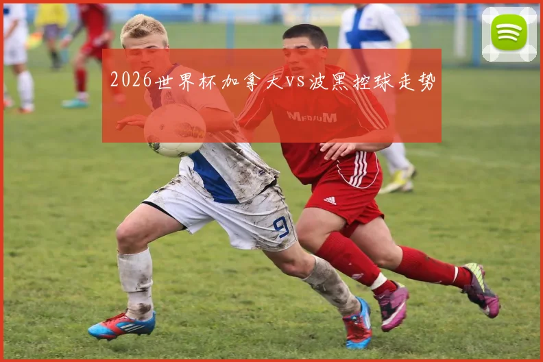 2026世界杯加拿大vs波黑控球走势