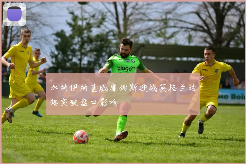 加纳伊纳基威廉姆斯迎战英格兰边路突破盘口影响